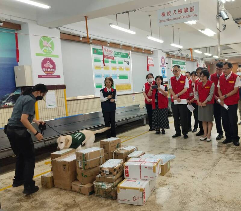 違規攜豬肉產品裁罰案降　中國東南亞傳入風險仍高