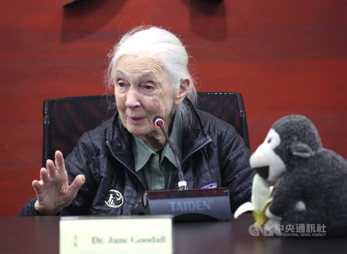 珍古德過世享壽91歲　6月曾訪台鼓勵勿放棄前進希望