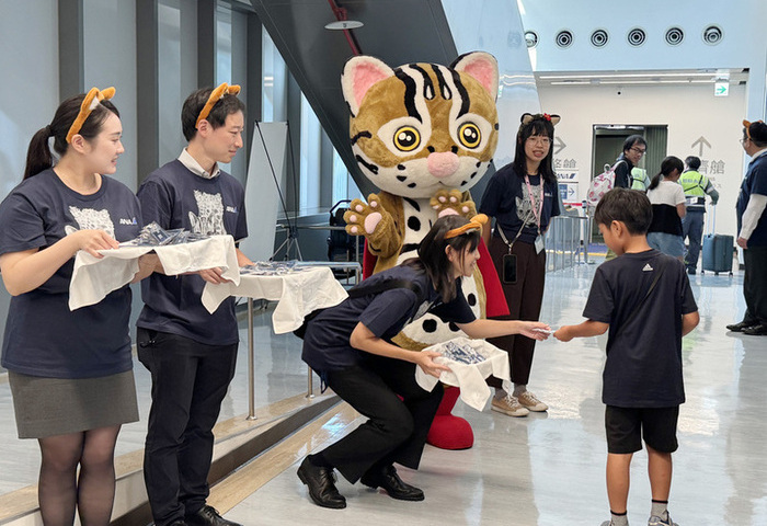 台灣石虎剩不到千隻　ANA偕農業部推保育活動
