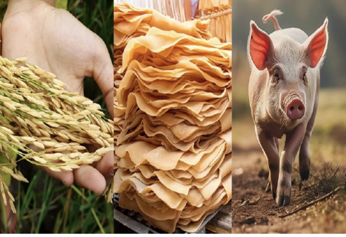 泰農產品價勢分化　稻米與橡膠同步走弱