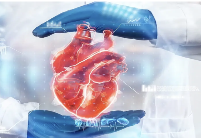 愛德華醫療推新型人工心瓣　開創泰國心臟醫療新局