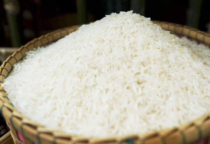 美日貿易新約壓力　泰國稻米出口恐減至十萬噸