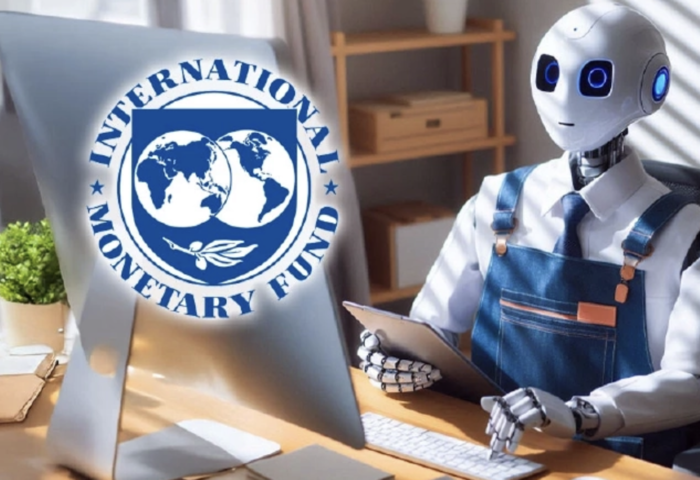 AI熱潮過燙　IMF示警資金泡沫