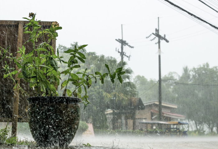 南部強降雨警示　泰氣象局籲防雷陣雨積水