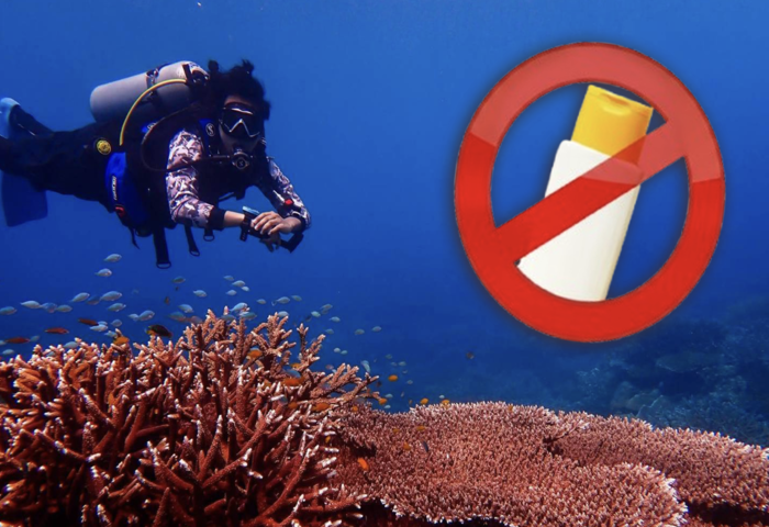 禁用防曬令上路　違規旅客最高罰十萬泰銖