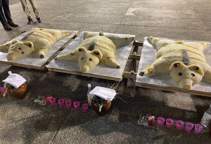 東山吉貝耍夜祭登場　曾智勇：台灣原住民必須正名