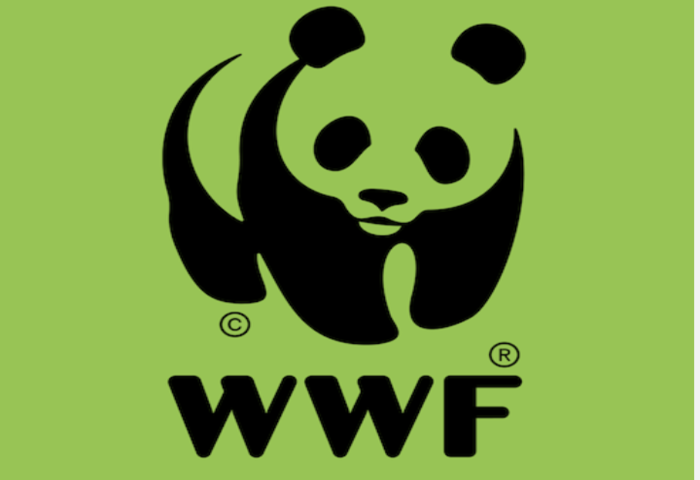 每週吞5公克塑膠  專家警示微塑膠對人體多重系統影響