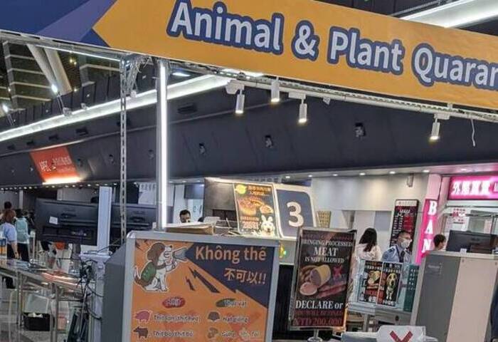 非洲豬瘟檢疫加嚴　研議入境旅客一律查核