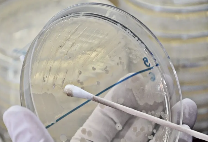 泰藥監局檢出異常　39款嗅聞劑不合格