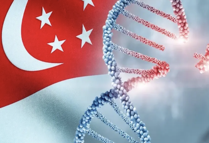 基因療法啟動　新加坡試治心臟病