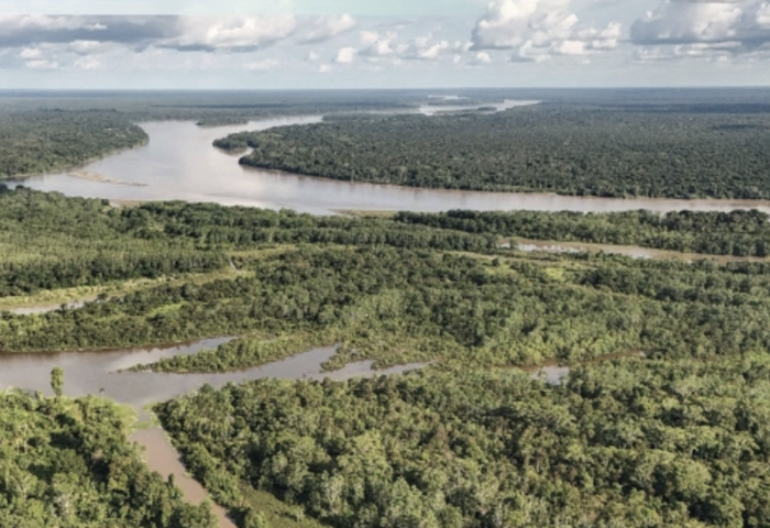 「森林永續基金啟動　籌1.25兆美元拯救雨林」