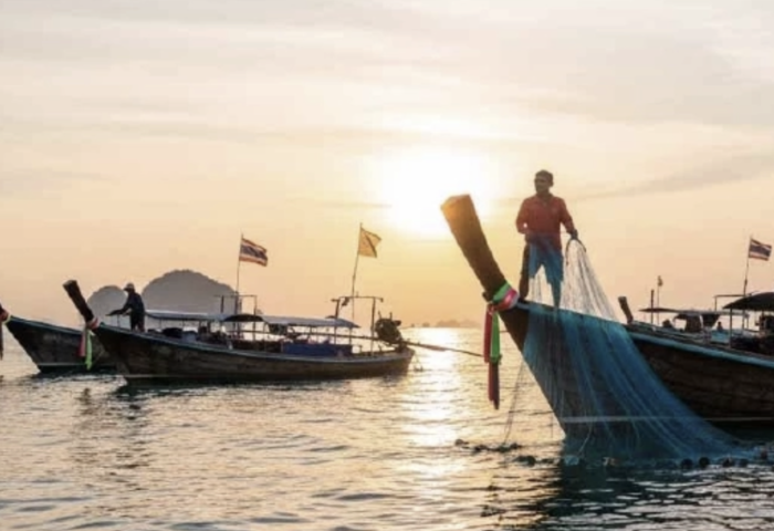 新漁業法生效　業界促速頒子法