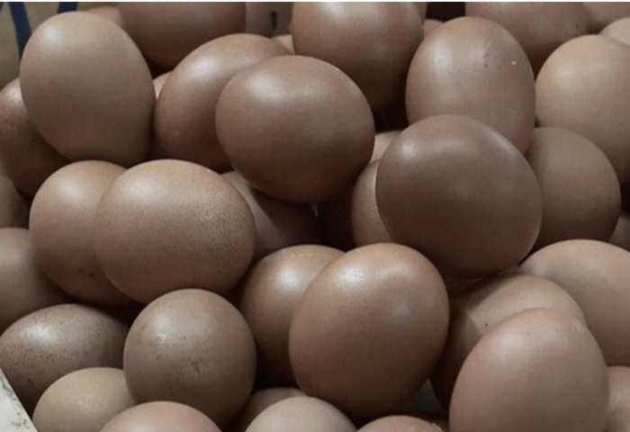 開學與補貼帶動需求　泰雞蛋價格回升