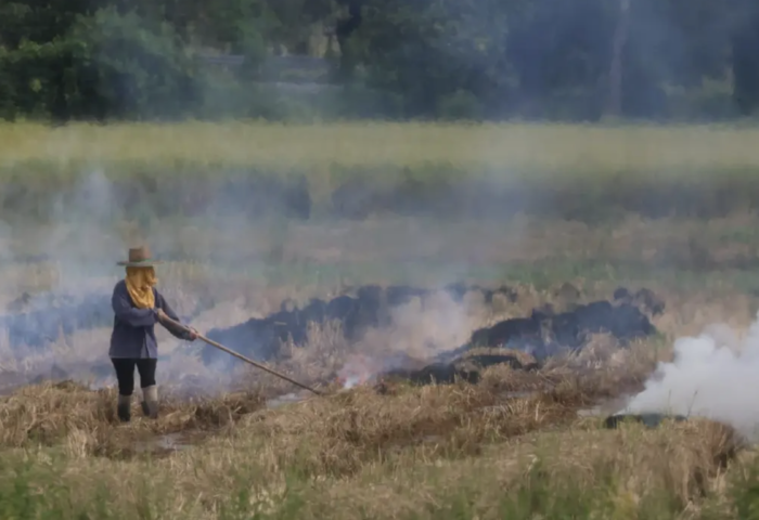 冬季霧霾重現　泰國PM2.5污染恐再爆發