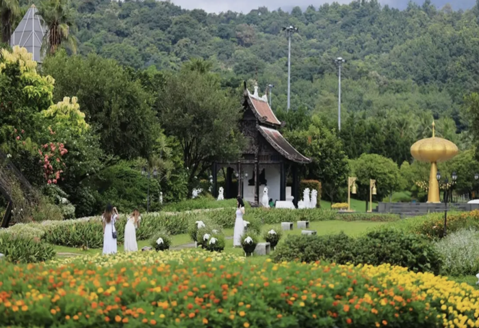 皇家花園綻放　冬季花節登場