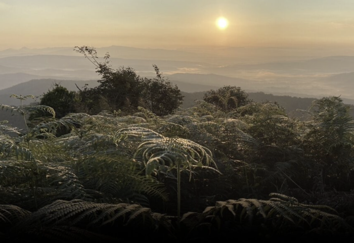 全泰雨勢減弱　北與東北清晨轉涼