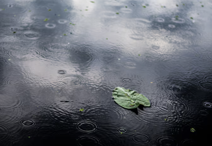 泰國北部氣溫降　多地晨間轉涼　曼谷今有三成降雨機率
