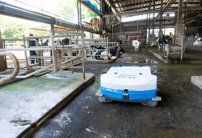 首台國產乳牛清糞機器人  年省37萬元並節水