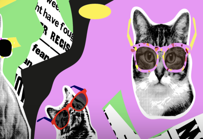 曼谷推貓展　寵物商機再升溫