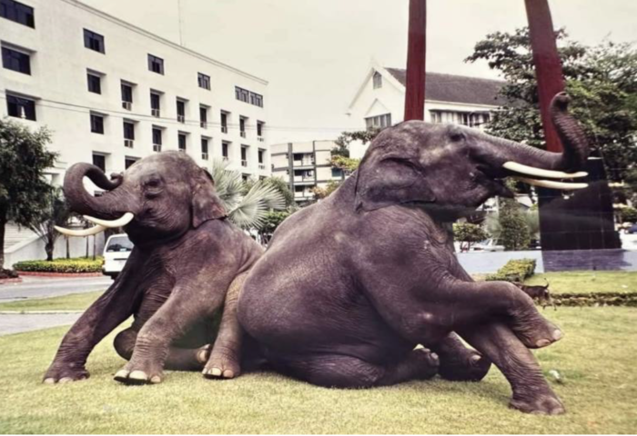 泰斯里蘭卡磋商　同護兩頭象