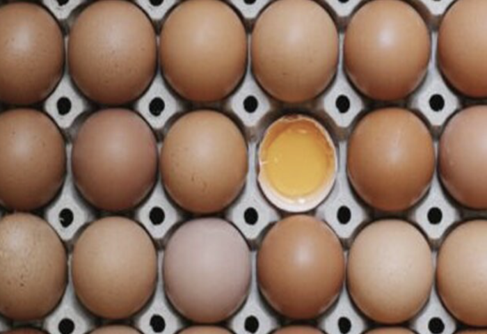 雞蛋再調價　每盤漲六泰銖