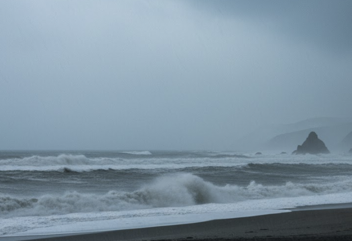 東岸連日雨勢　南部多府防災戒備
