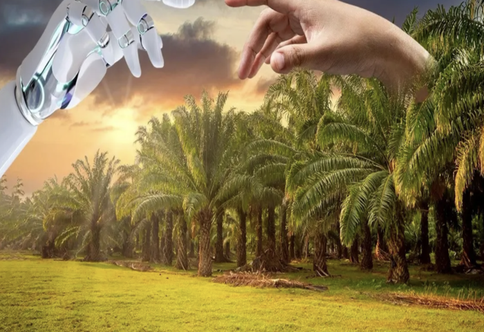 馬國棕櫚園轉型　AI數據中心搶進