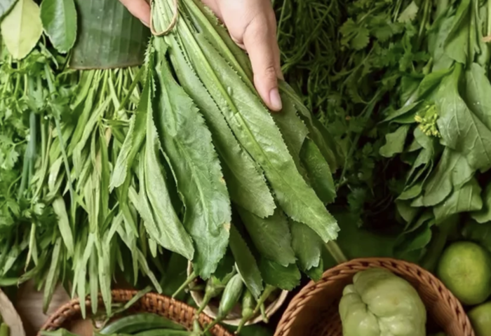  曼谷鮮蔬驗出寄生蟲　研究示警污染廣泛