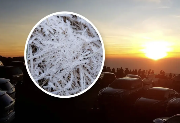 泰北冷空氣下襲　因他農山氣溫降至2°C現霜凍