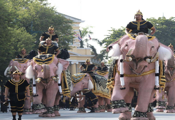 粉紅象隊進宮致哀 永銘泰王母后恩澤