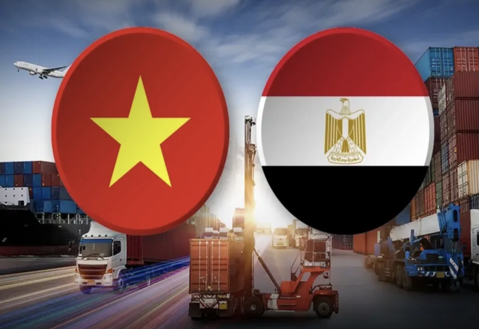 越南加速啟動埃及 FTA　泰國出口面臨市場被侵蝕風險升高