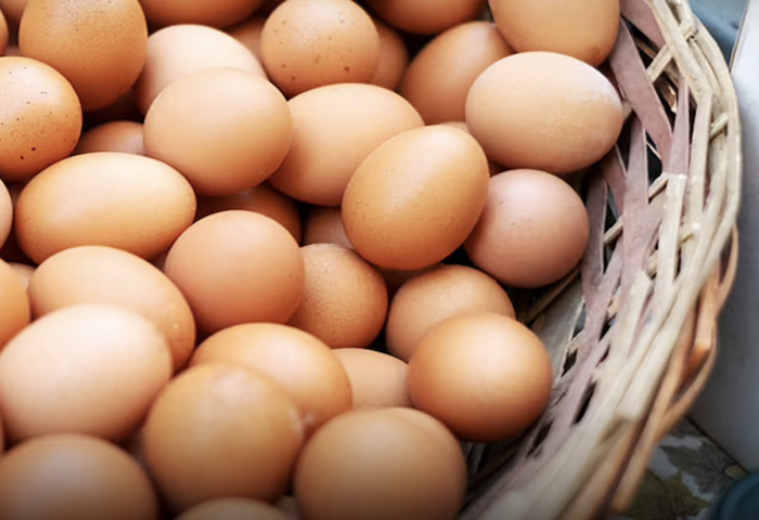 蛋價回穩　泰國推出口計畫疏供應壓力