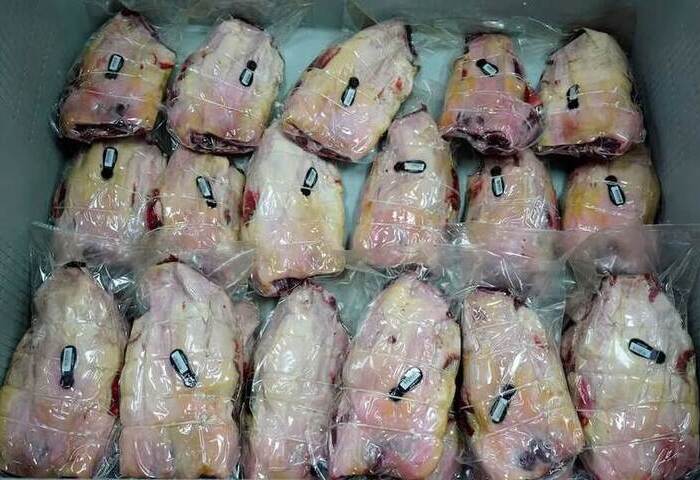 非洲豬瘟再現西班牙　業界憂豬肉出口亮紅燈