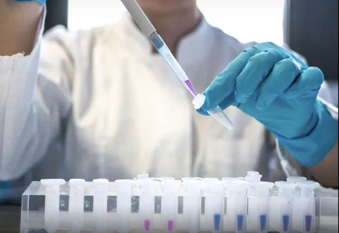 減重針需求暴增　WHO示警全球供給告急