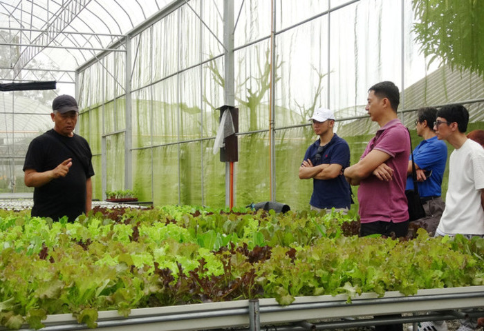 百貨主管變農夫　黃禹靖將台灣蔬菜推上菲律賓餐桌