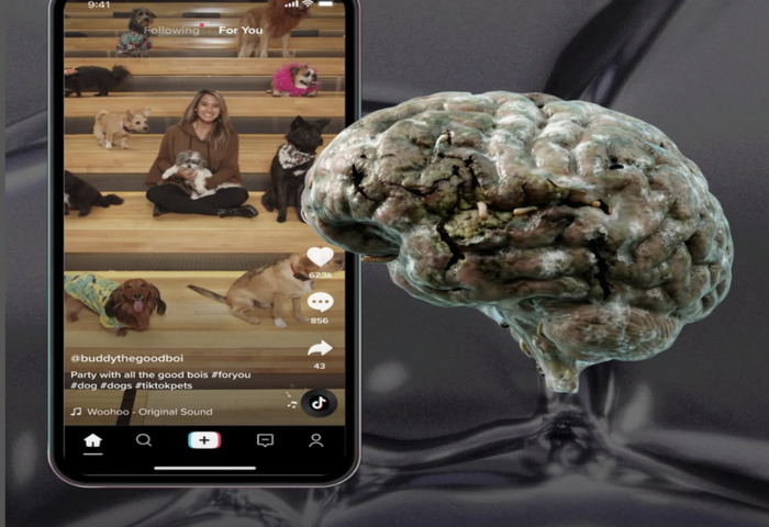 過度沉迷短影音　研究警示大腦功能恐受損