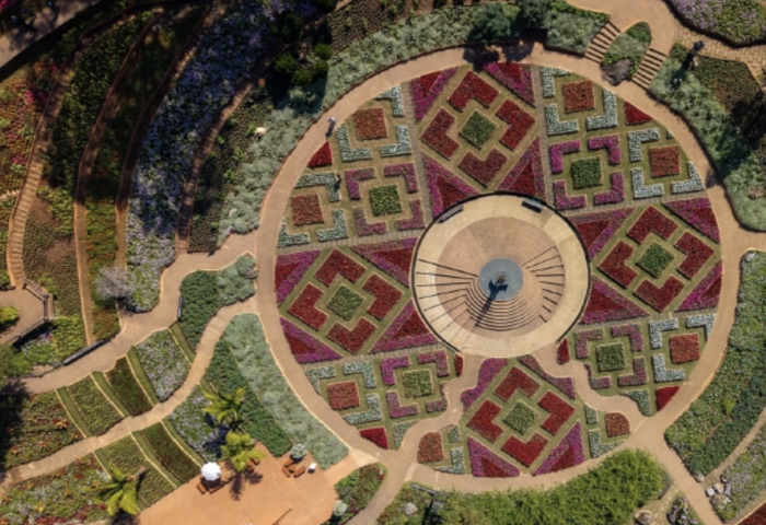 色彩躍上山谷　「花開•山林怪獸」引客登場