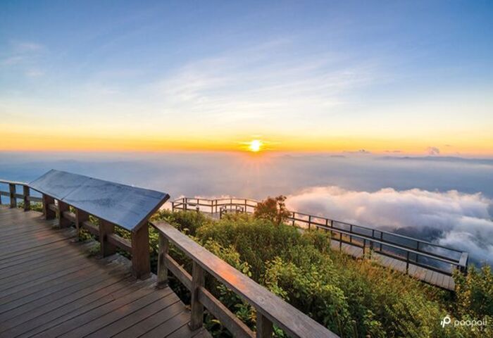 清邁寒流引潮　因他暖山萬人湧入