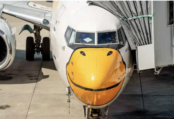 禁令待解除　泰國皇雀航空布局國際線復飛