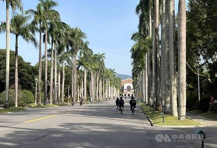 台大申請入學社會系因應AI看數A　醫學系取消英文改社會