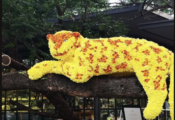 奈樂公園冬季花展登場　市中心打造花藝秘境