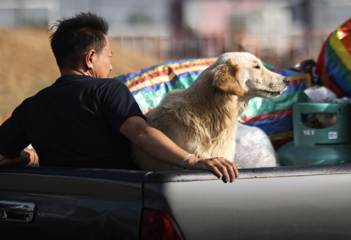 邊境衝突進入第8天　是沙吉府下令三區紅色區撤離