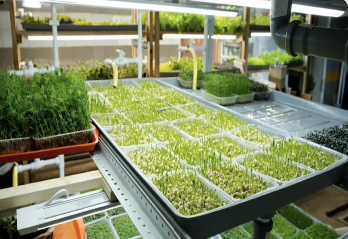 全球再生農業市場成長迅速　五大高收益品項浮現