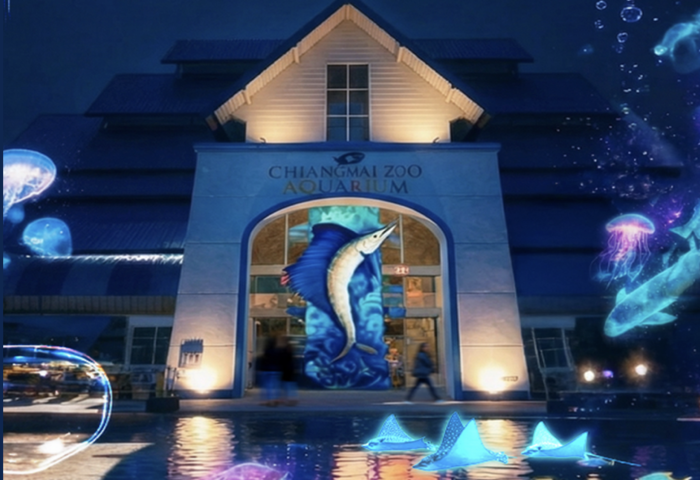 清邁動物園推夜間水族體驗　星海交織迎節慶