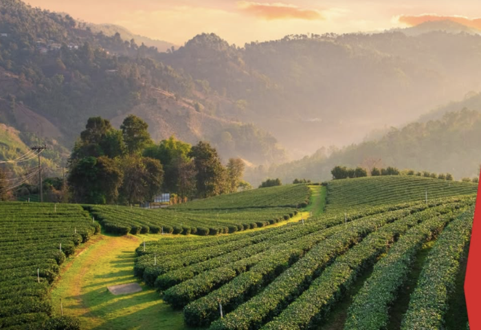 過度觀光問題浮現 泰國推動分流布局