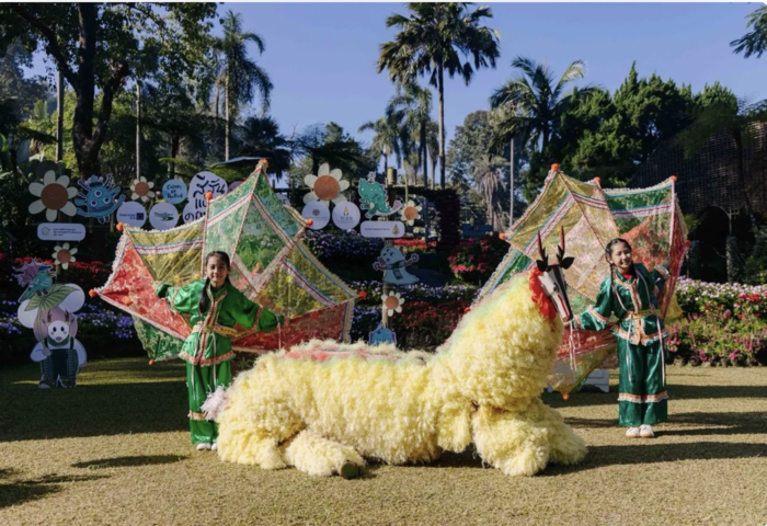 清萊冬季花季登場　「多伊屯色彩節」重返山林