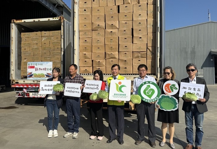 台灣高麗菜出口新加坡 向世界分享鮮甜好滋味