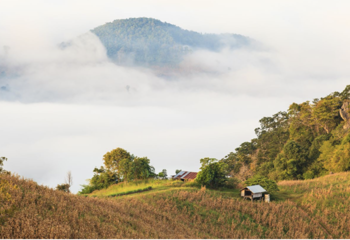 北部清晨低溫15度　南部降雨轉增