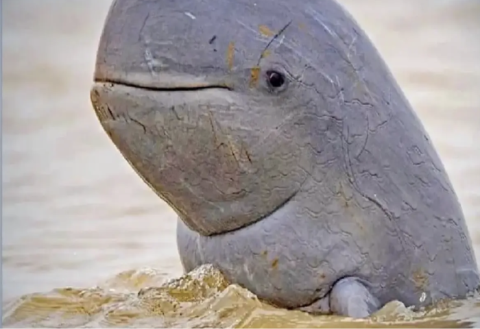 交通抗災護生態　世銀貸款挺泰國