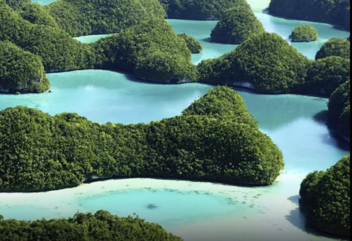 帛琉接納美國移民　換取公共建設資金